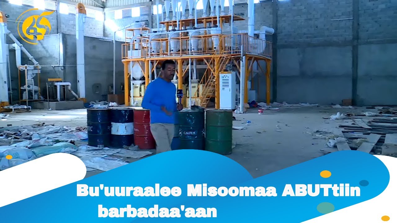 Bu'uuraalee Misoomaa ABUTtiin barbadaa'aan