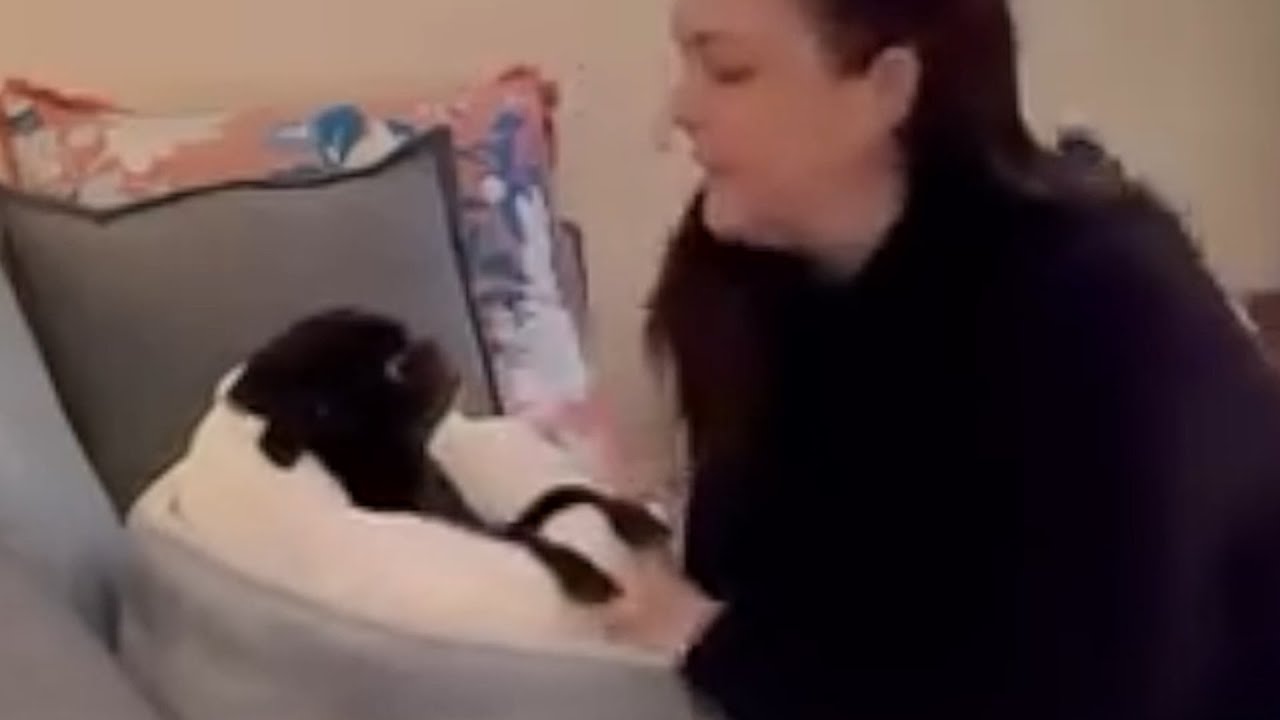 She adopted this dog. Then came a big surprise.