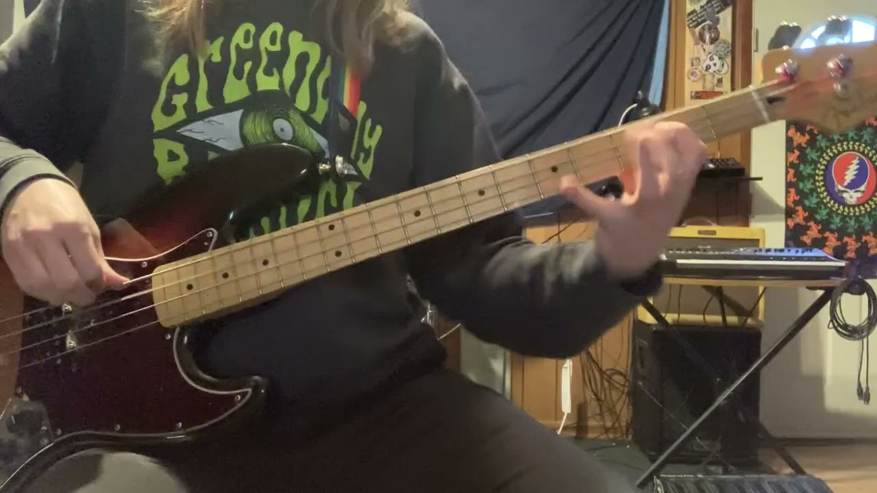 Rush- Half The World- bass cover