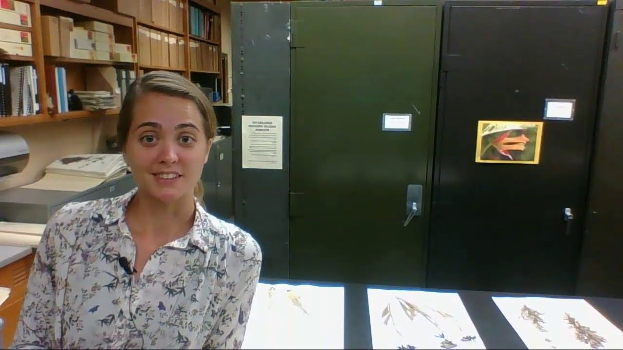 CA Biodiversity Week: Green Guardians