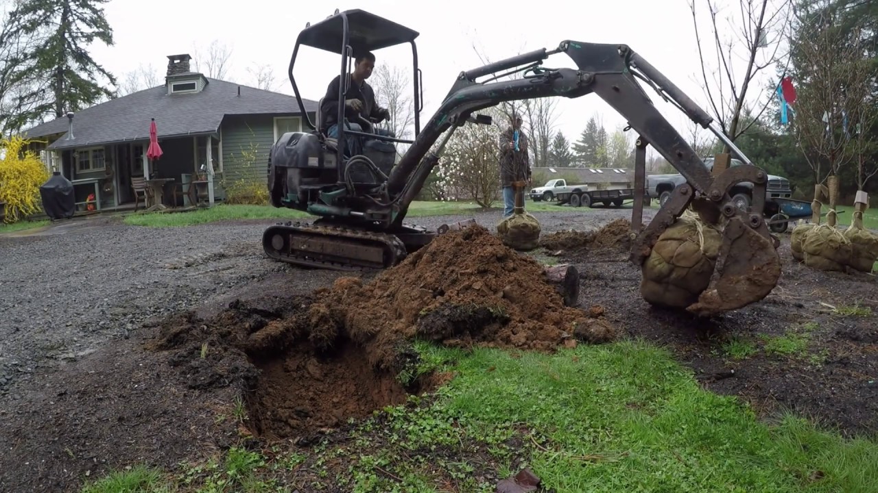 Planting trees