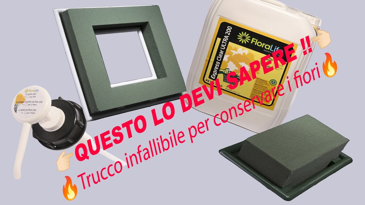 Il corretto metodo per mettere a bagno la spugna