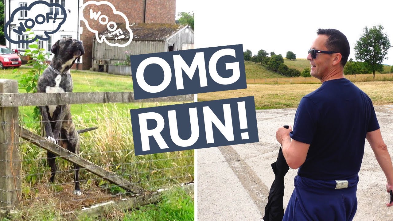 We May Have Made A MISTAKE !