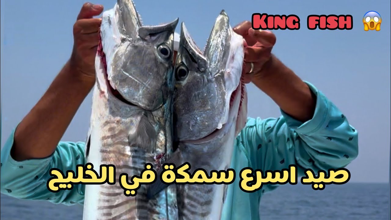 متعة صيد الكنعد - ١٥ دقيقة من الصيد والمتعة البصرية من اجمل الرحلات وأجمل الأسماك. في الصيد