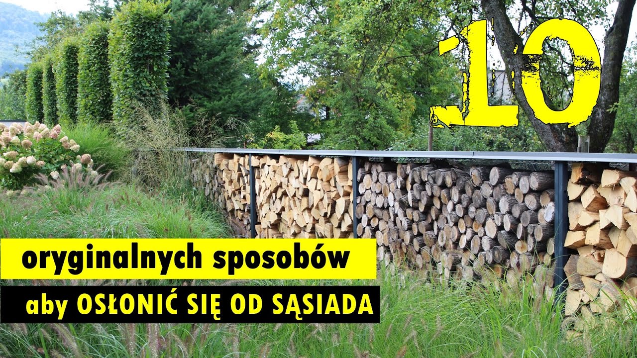 Ciekawe sposoby aby osłonić się od drogi lub uciążliwego sąsiada