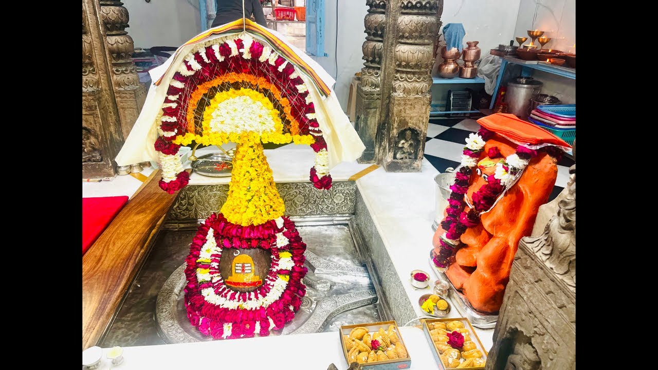 🔴 LIVE | 11 Feb Morning Aarti & Shringar Darshan | Balkeshwar Dham 🔱