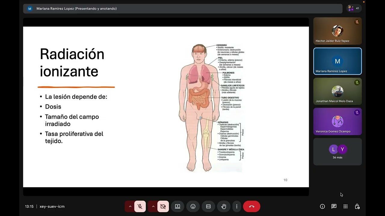Clase monitoria 07/03/2026