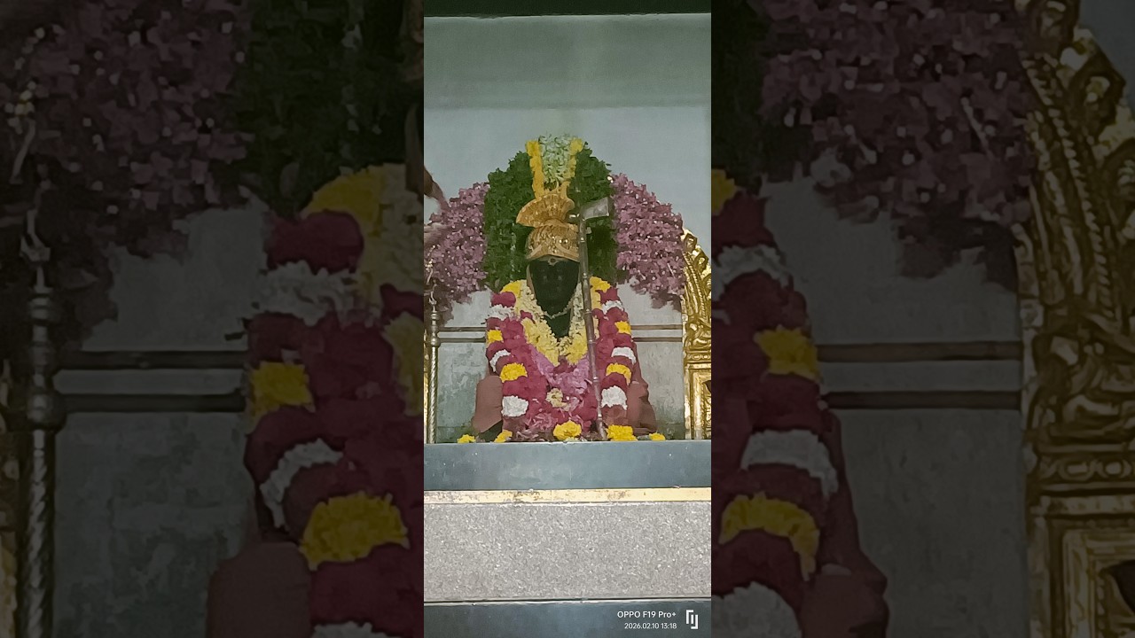 govindapuram Tapovanam periyava procession