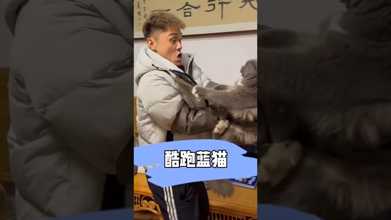 酷跑蓝猫 #宠小哥洗护 #春日萌宠收藏夹 #pets