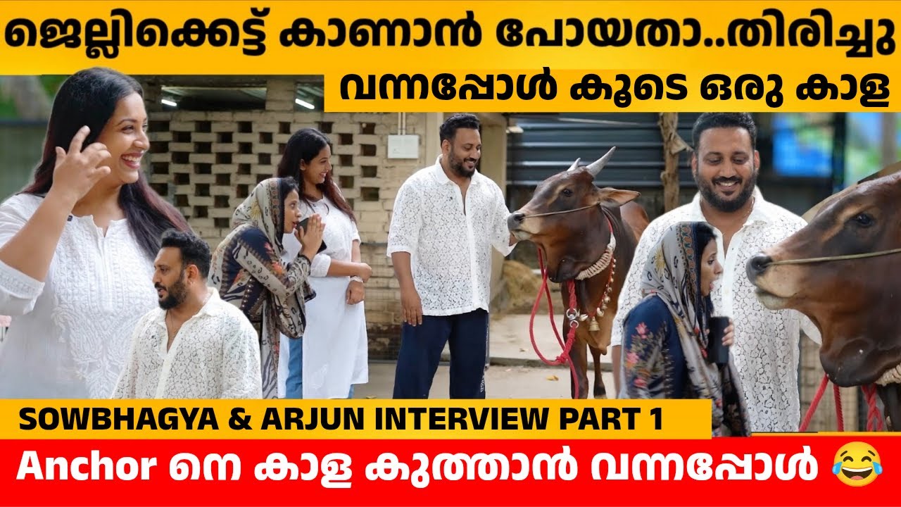 ജെല്ലിക്കെട്ട് കാണാൻ പോയതാ തിരിച്ചു വന്നപ്പോൾ കൂടെ ഒരു കാള 😂  SOWBHAGYA VENKITESH & ARJUN INTERVIEW