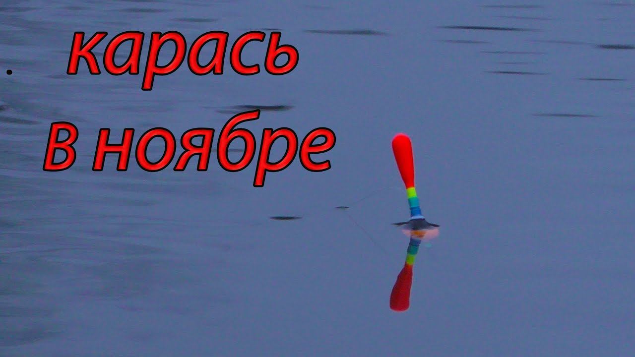 Рыбалка на карася в ноябре !