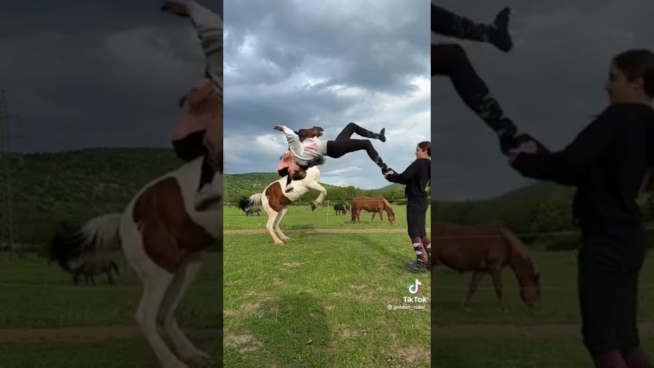 Equestrian TikToks 1
