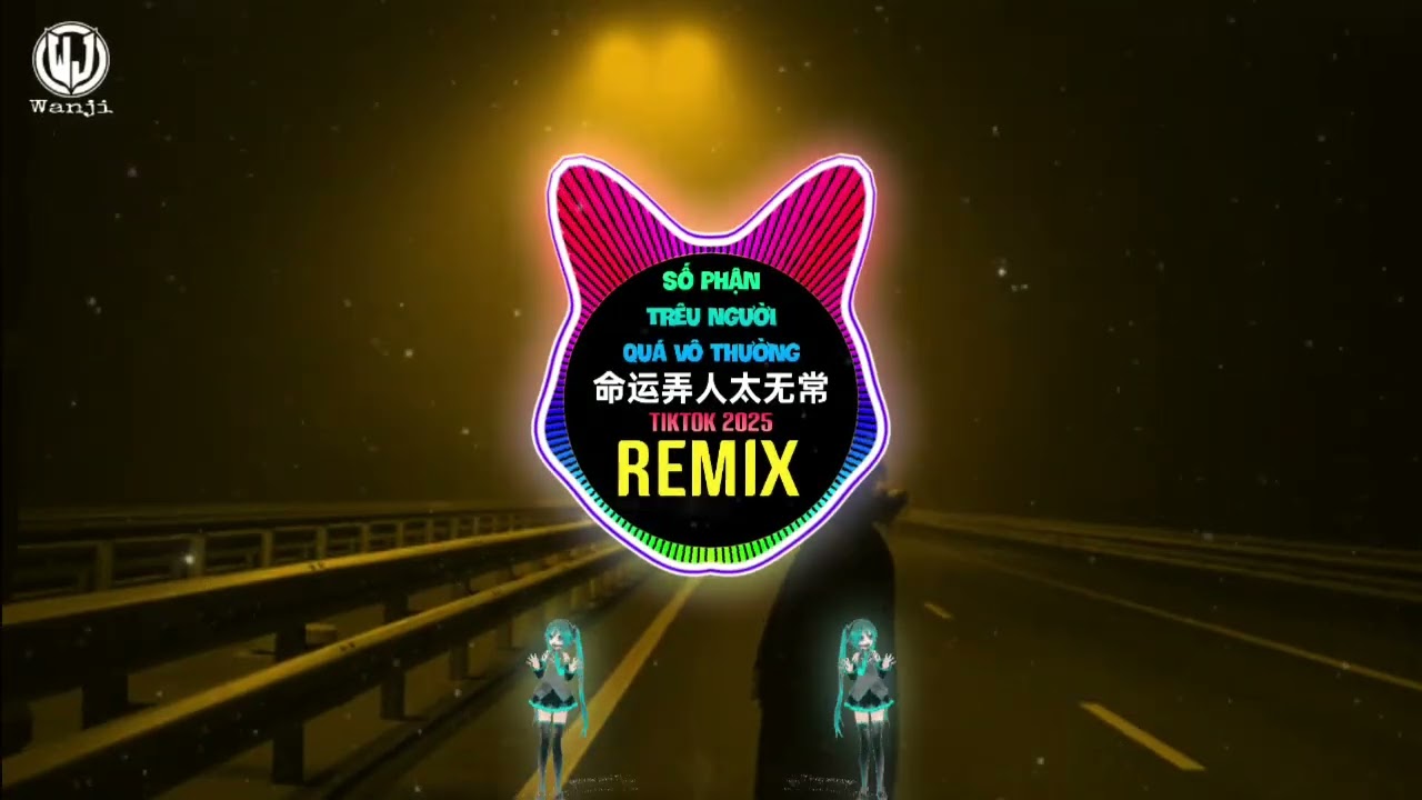 莉莉安,双叶 - 命运弄人太无常 (DJ爆发版) Số Phận Tr&ecirc;u Người Qu&aacute; V&ocirc; Thường (Remix Tiktok) - L&ecirc; L&ecirc; An, Song Diệp