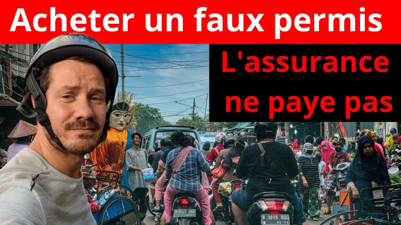 Permis international en ligne : une arnaque dangereuse