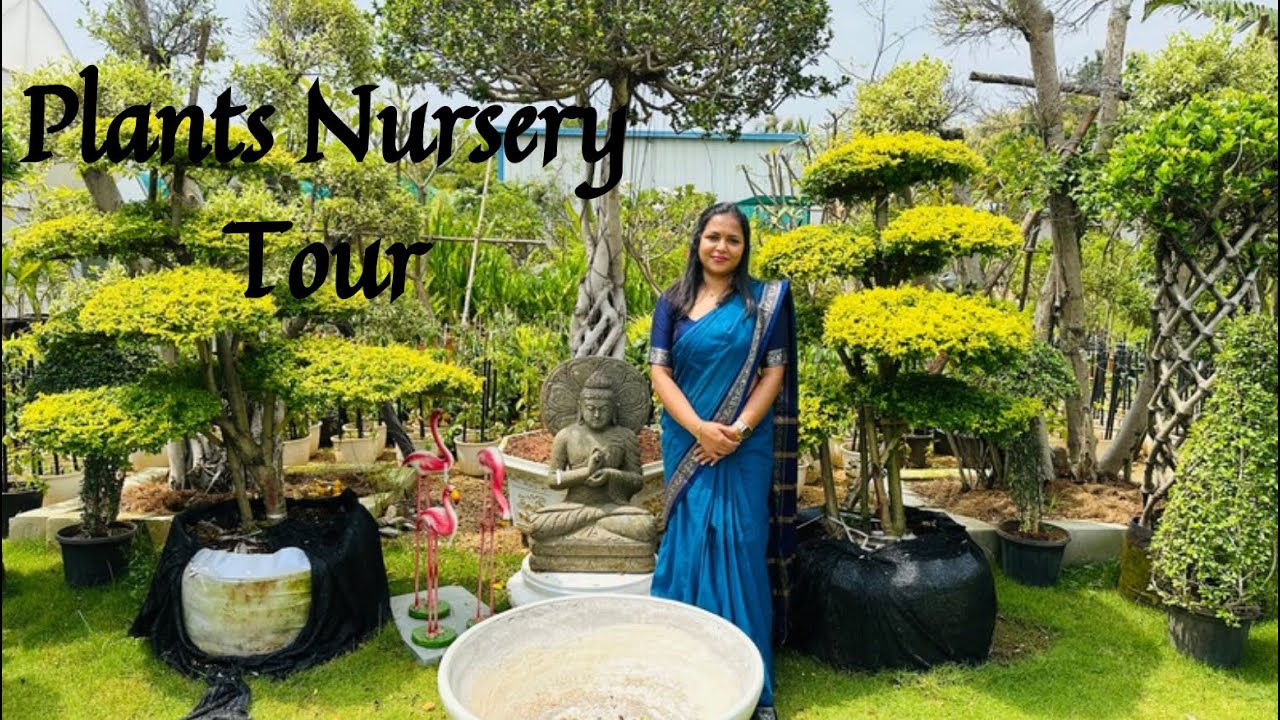 Plant Nursery Tour!!