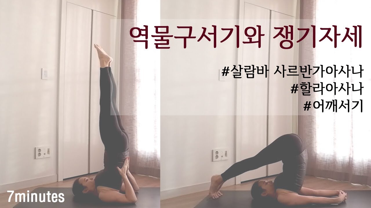 전신을 이롭게 하는 역물구서기와 쟁기자세 / 살람바 사르반가아사나와 할라사나를 수련해보자! / 어깨서기 / 요가역자세  by.지음요가(jiumyoga)