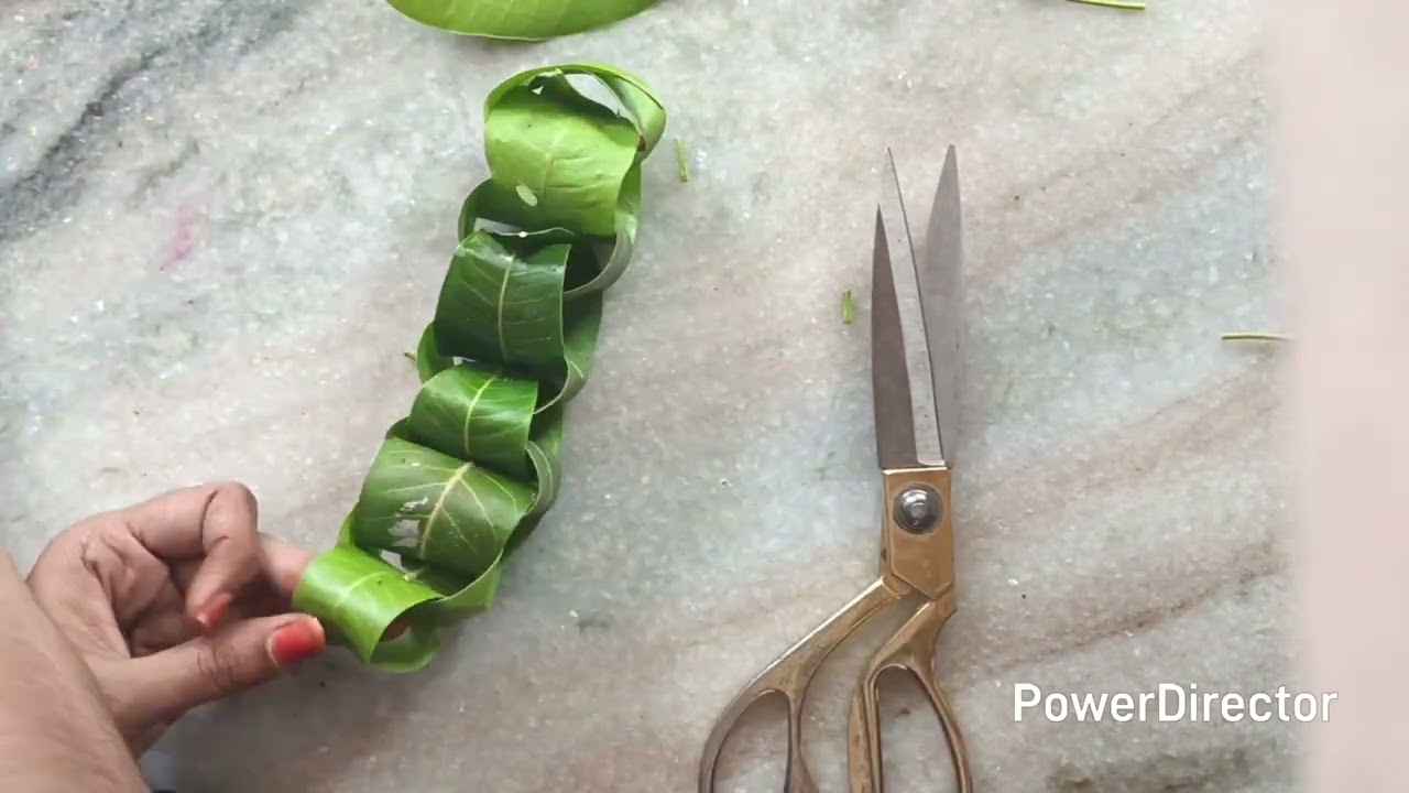 Mango leaf side hangings 