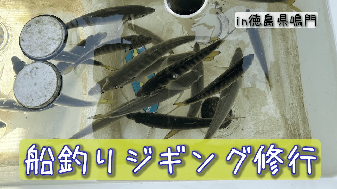 船釣りジギングで青物狙い🎣 in徳島県鳴門　FISHING_ver.09『しろくろバラエティ〜』
