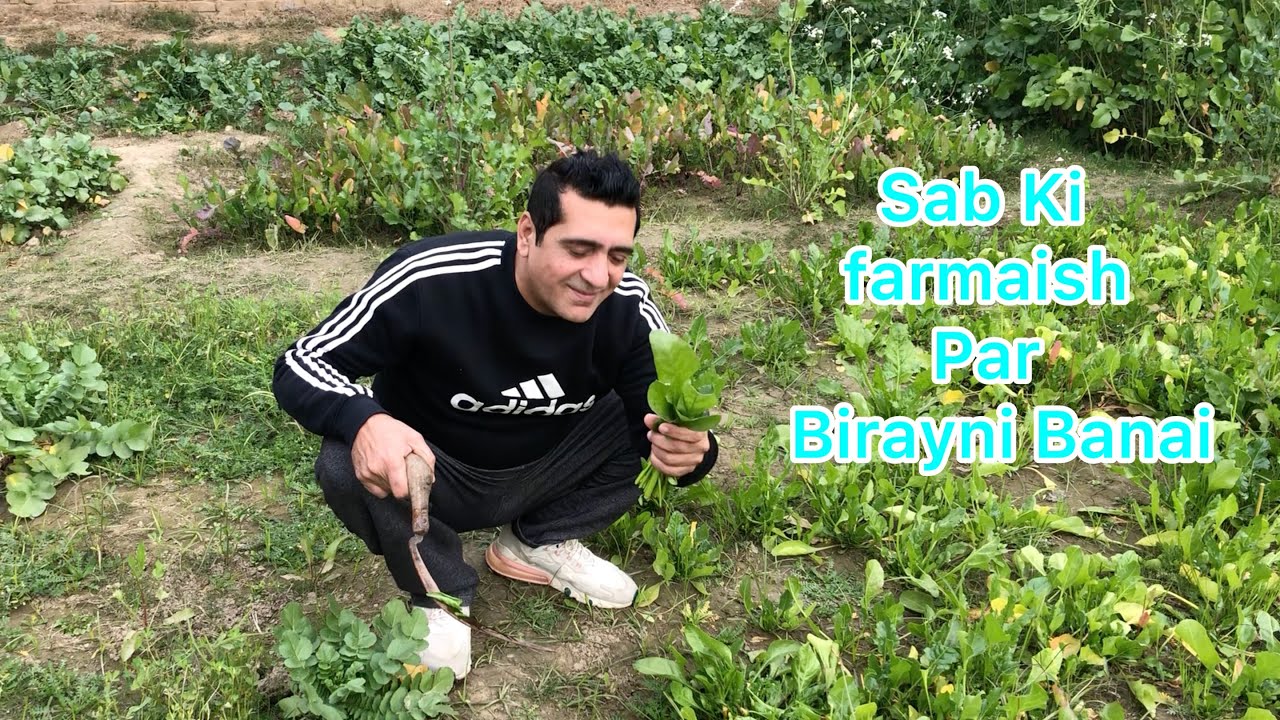 Chicken Biryani | Sab ki farmaish par | Ur Palak murghi ka salan |