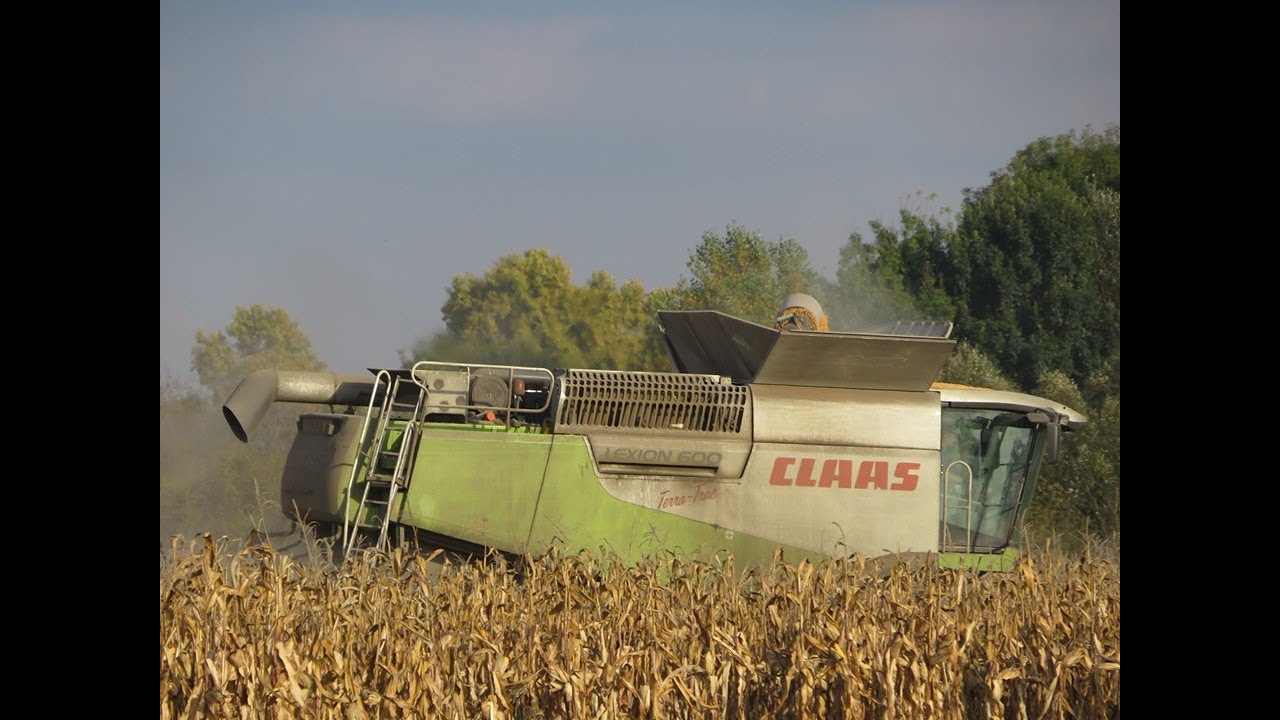 Autumn Corn Harvest/kukorica aratás 2019 2x Claas Lexion 600 Terra Trac  *1. Part*
