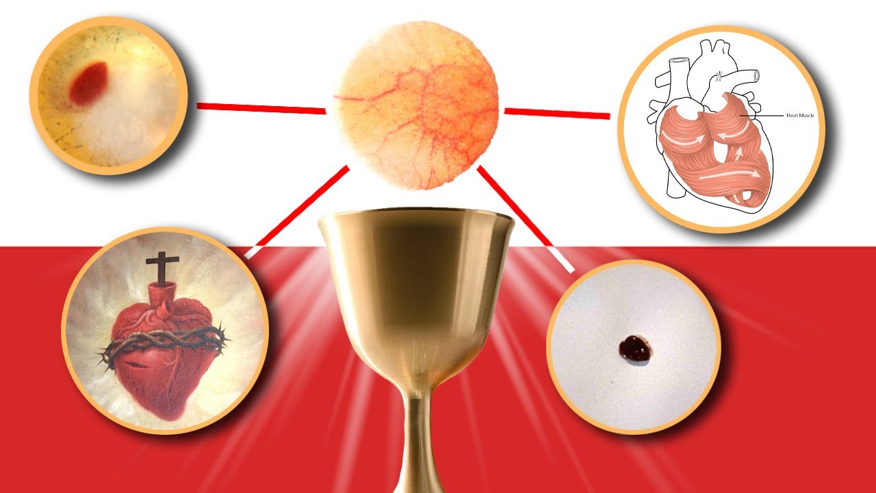 Modern-day Eucharistic Miracle: Scientists Confirm Human Heart Tissue in Host
