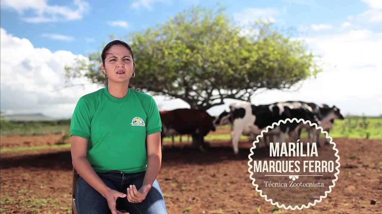 Projeto Balde Cheio - Alagoas