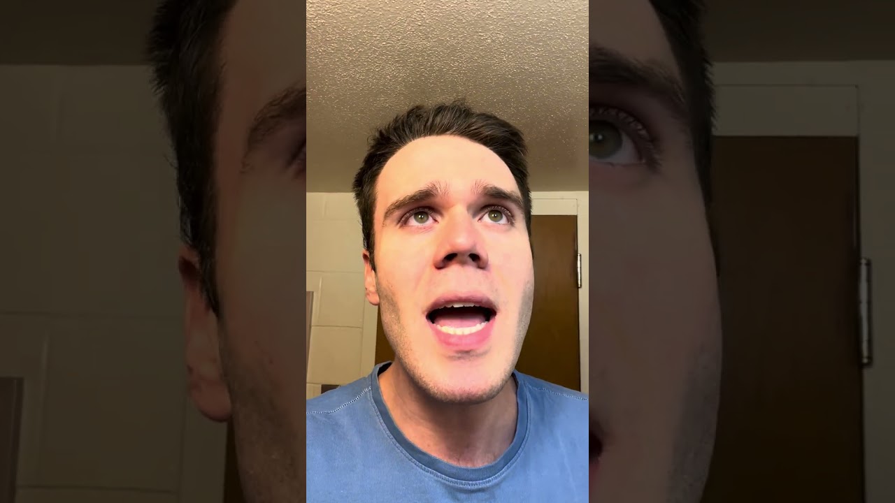 SHARK | Boulevard of Broken Dreams Beatbox