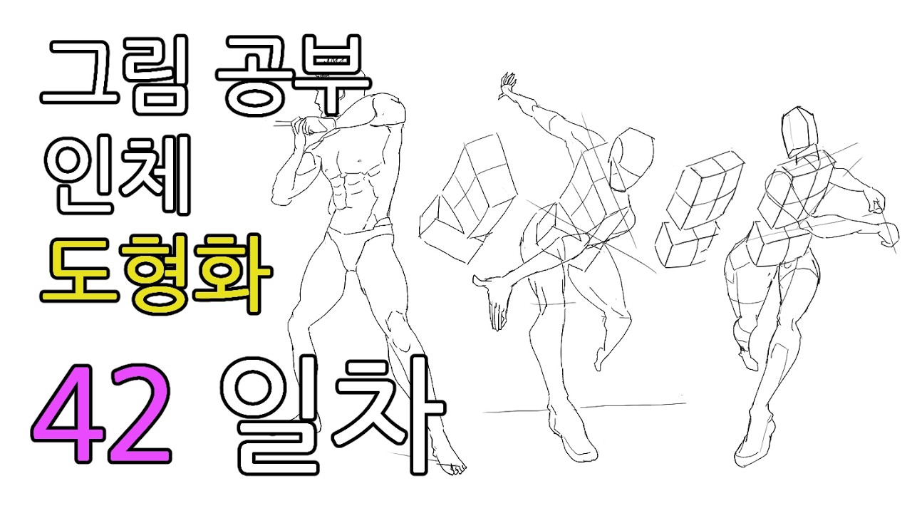 42일차 인체 도형화 진입