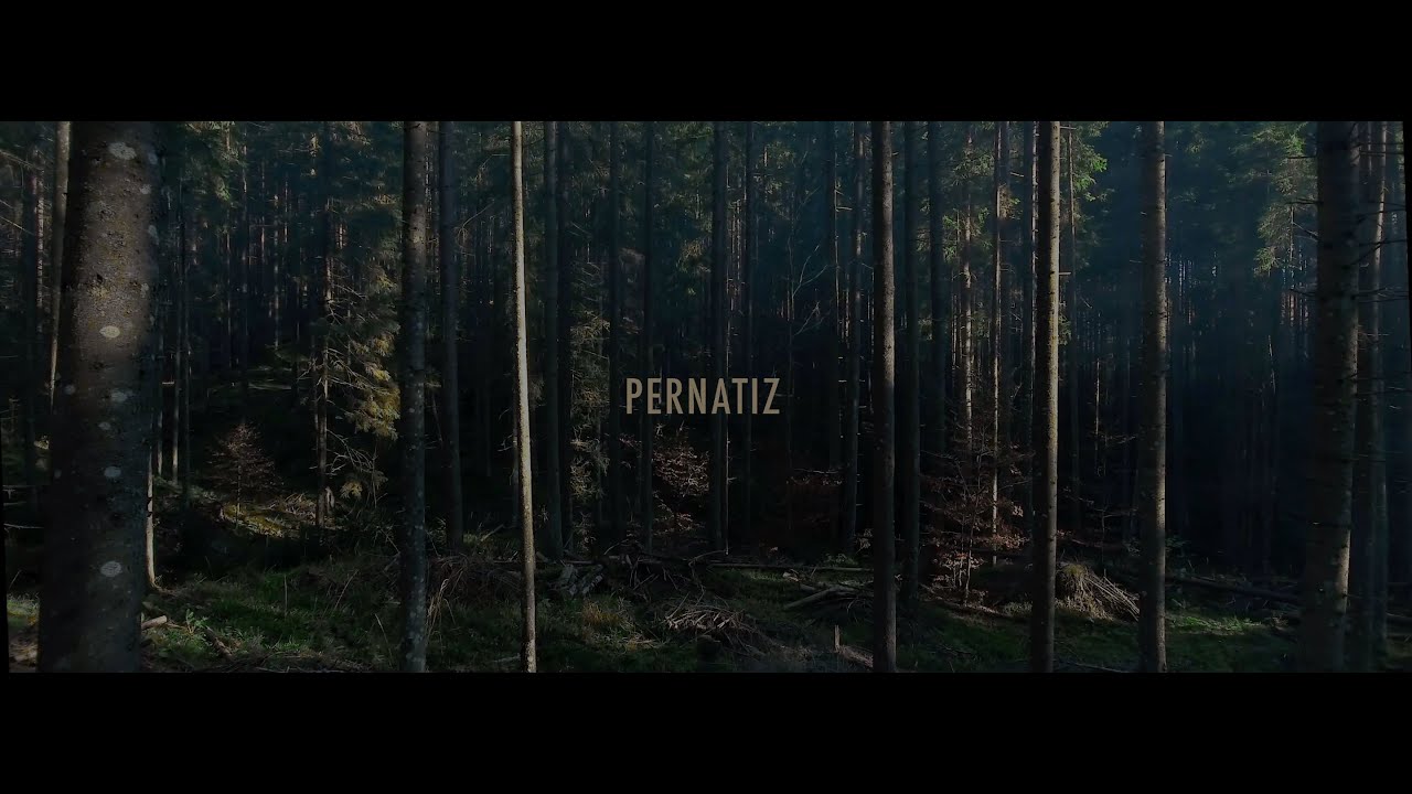 PERNATIZ - Коло (Official Music Video)