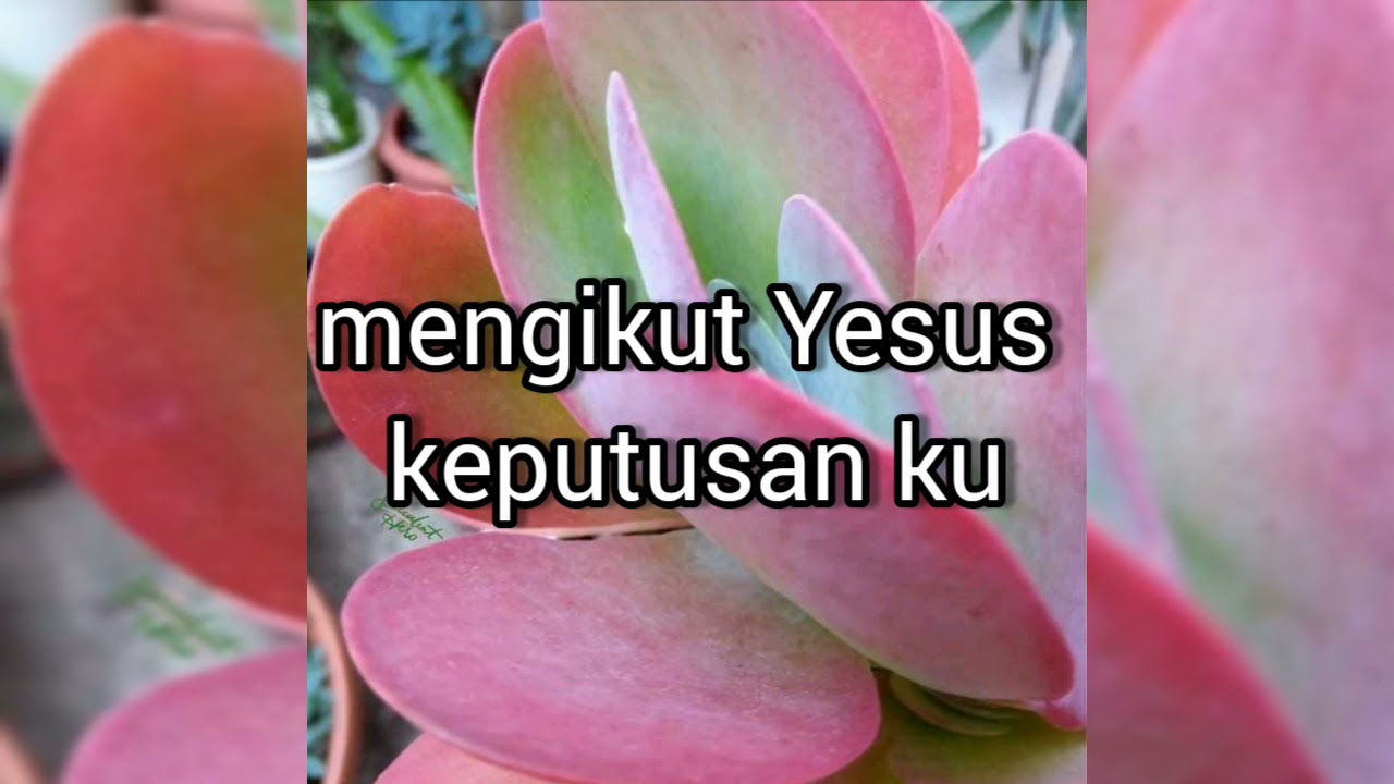 MENGIKUT YESUS KEPUTUSAN KU- cover  Jenifer .V.LAGU ROHANI 2021-VERSI MANDARIN +INDONESIA