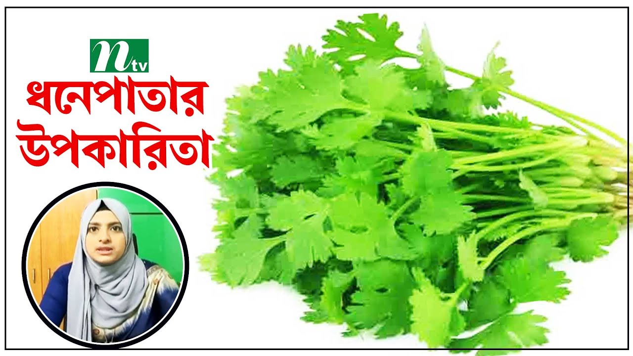 ধনেপাতার উপকারিতা । Health Show | স্বাস্থ্য প্রতিদিন |