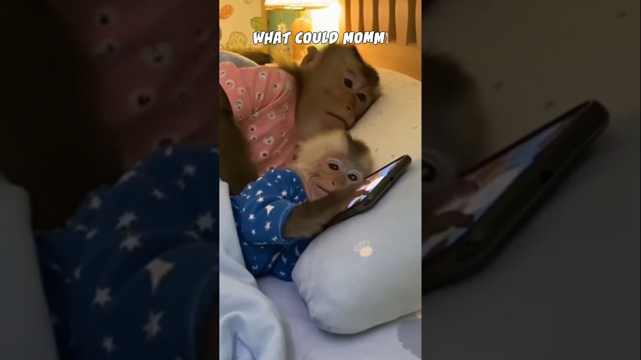 When a Baby Monkey Wakes Up His Angry Mom 😱💥 #short  #funnyshorts  #mom