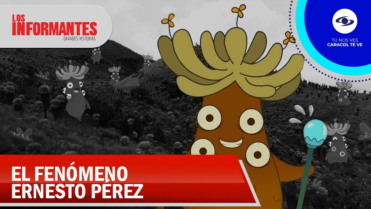El frailejón Ernesto Pérez, un milagro que enseña la importancia de los páramos - Los Informantes