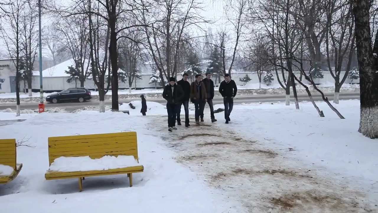 Ungheni Mihai Eminescu