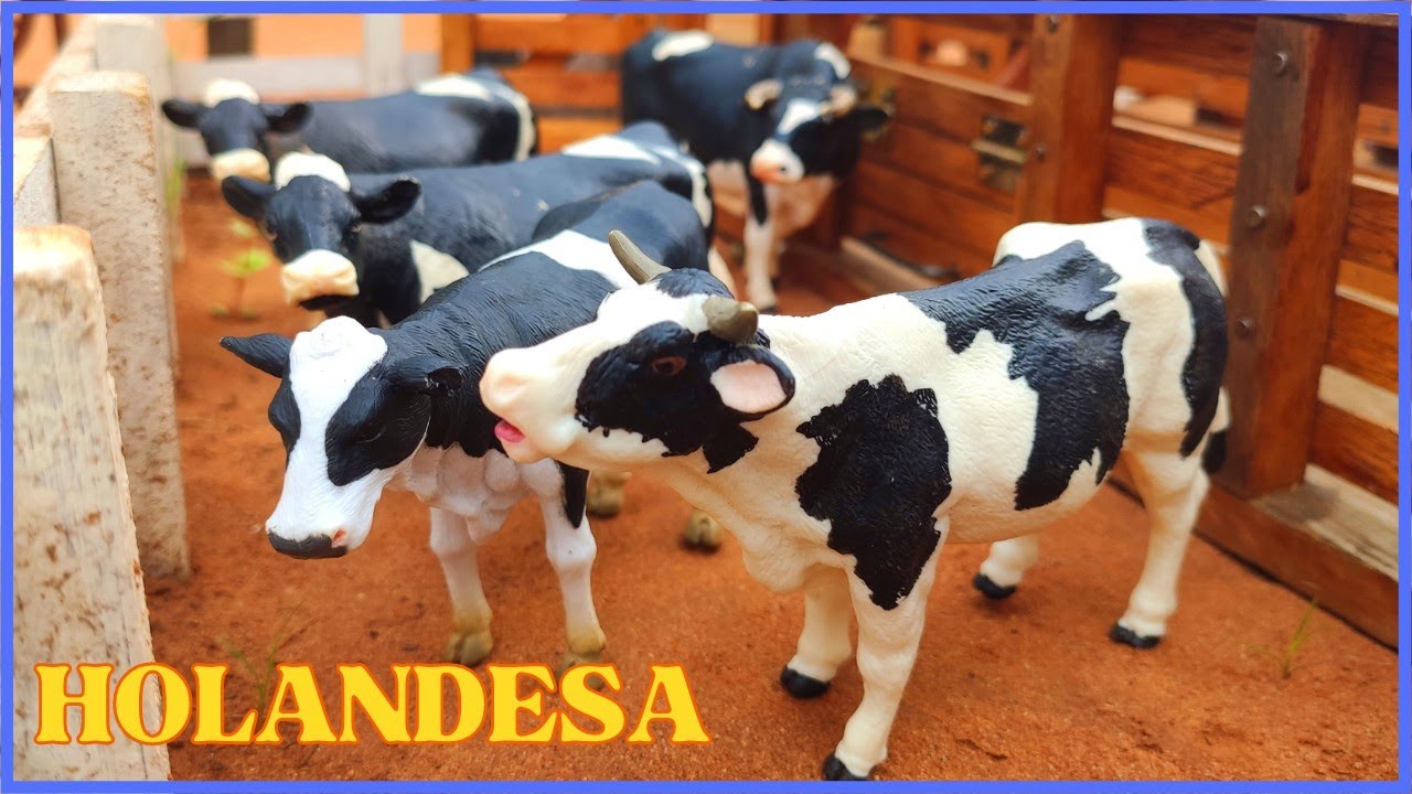 Fazenda de brinquedo VACAS HOLANDESA TOCANDO A TROPA PARA VACINAR
