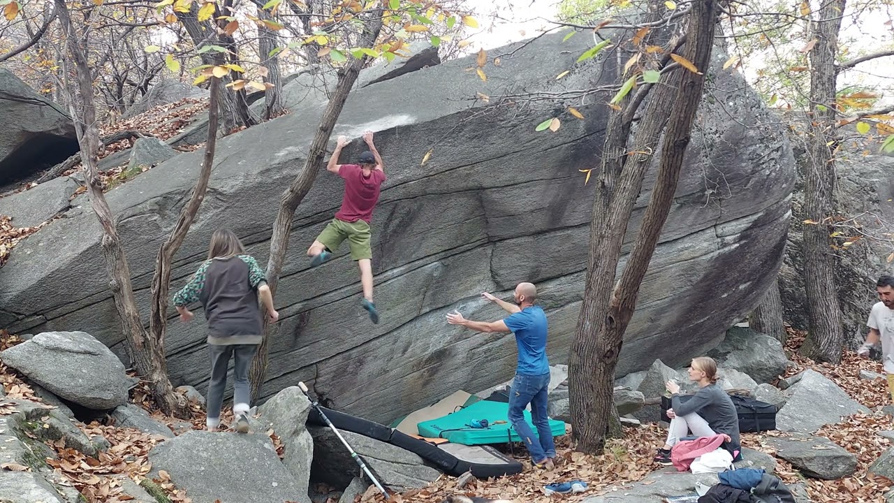 Freak Brothers 8a, Chironico