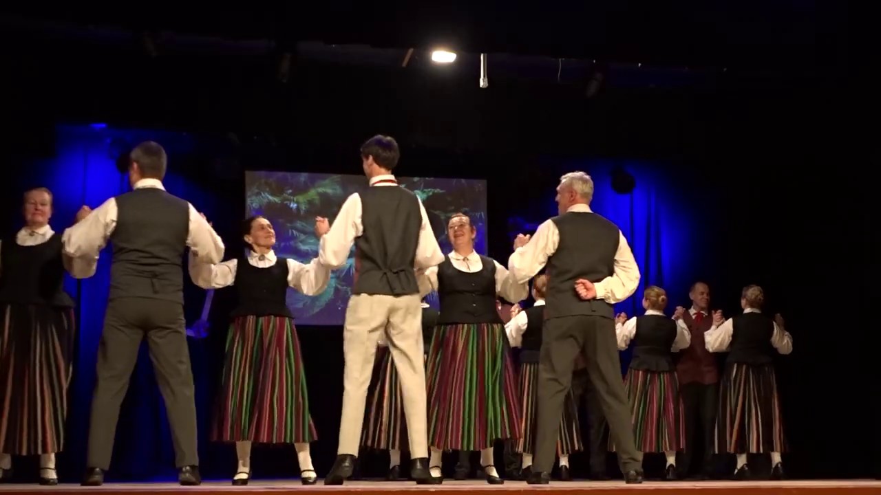 Pinu vīzes - VPDK 