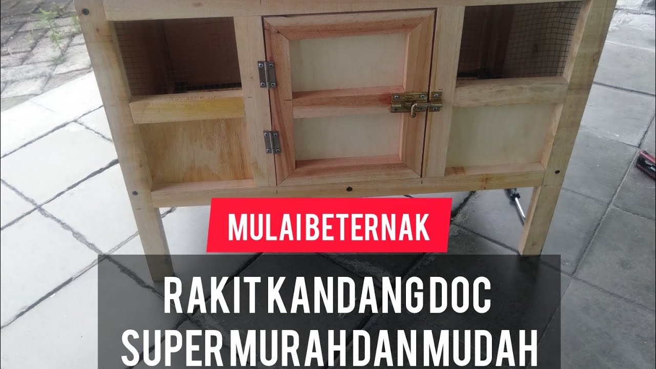 MERAKIT KANDANG DOC SUPER MURAH DAN MUDAH #mulaibeternak