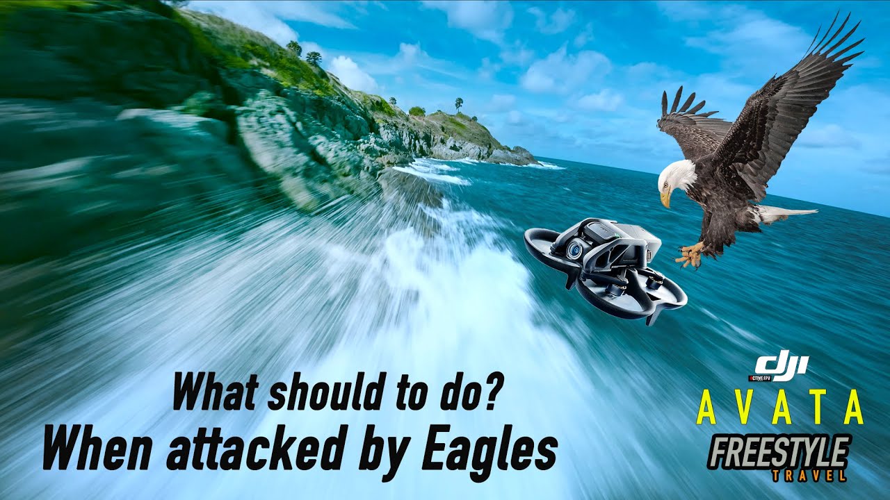 DJI AVATA 3.5 EAGLES ATTACKED | WHAT SHOULD TO DO? | DJI ACTION2 2.7K | FPV BEGINNER | AVATA TRICKS