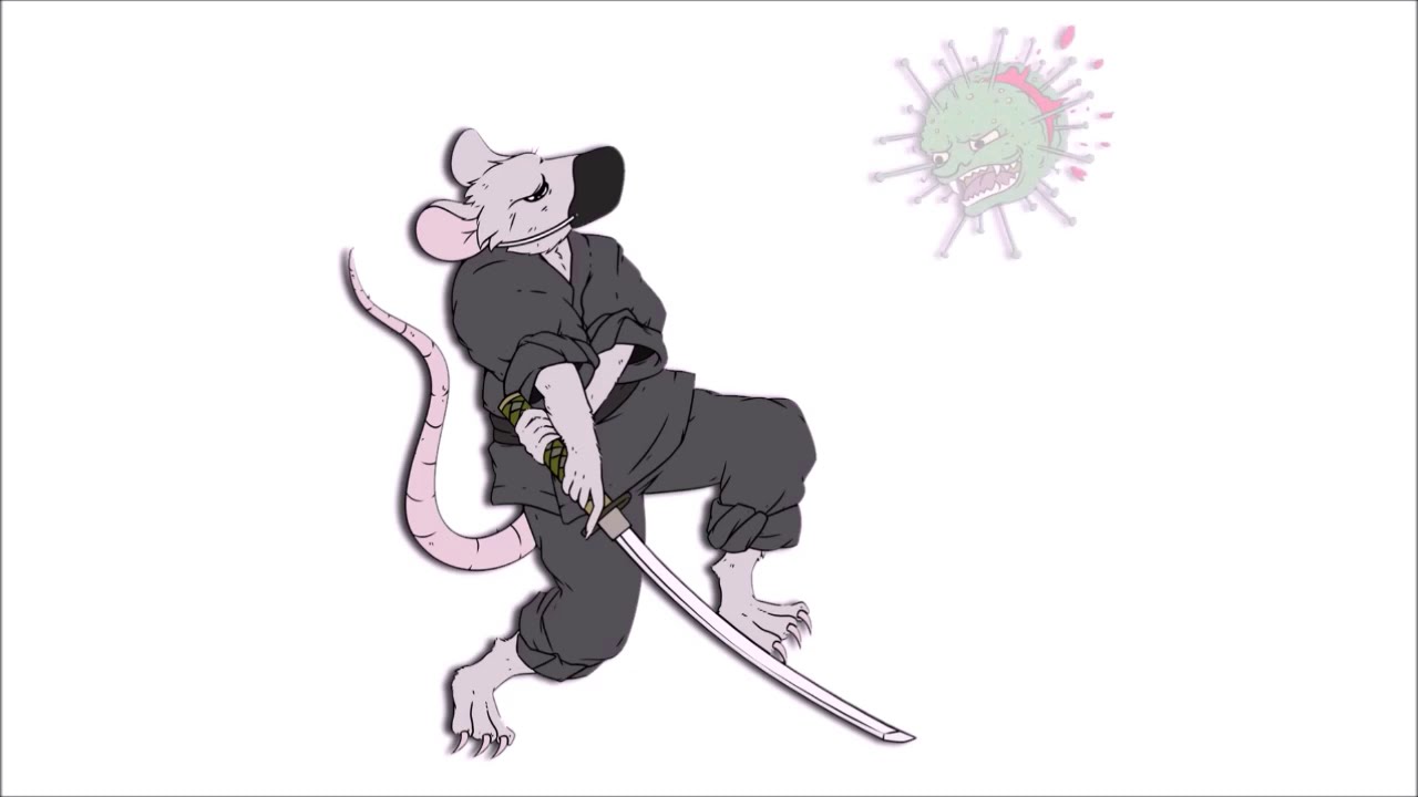 Trailer Heimtraining Bujinkan Lockdown Nov 2020