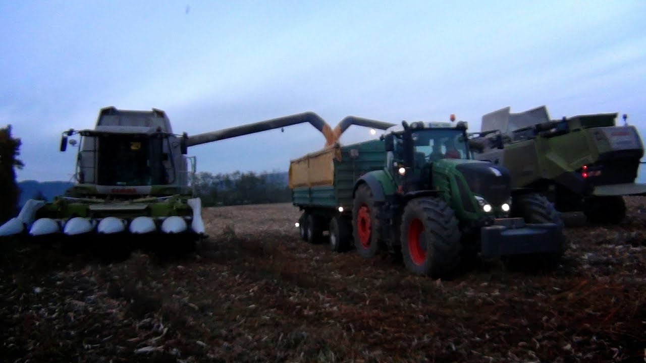 Csele Delta Kft  2017 Corn Harvest Claas Lexion 550, 650