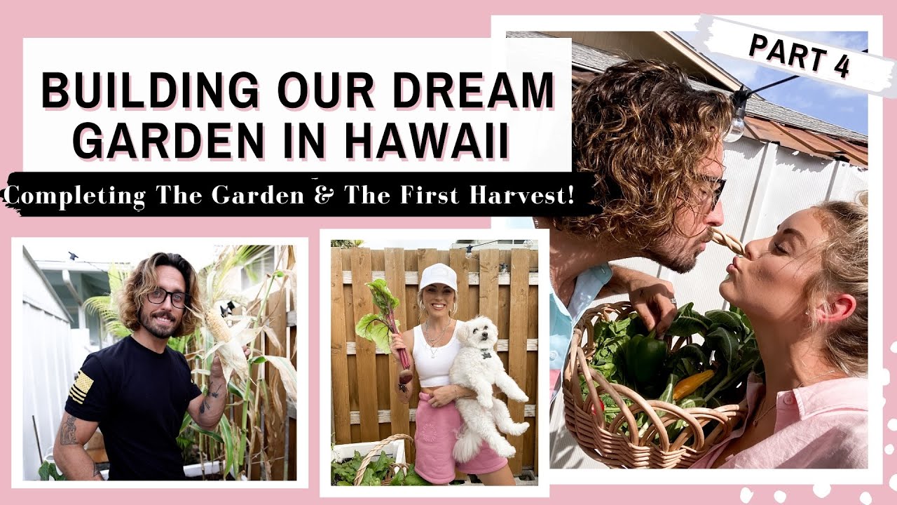 Building Our Dream Garden In Hawaii pt. 4 | Our First Harvest & Future Garden Plans