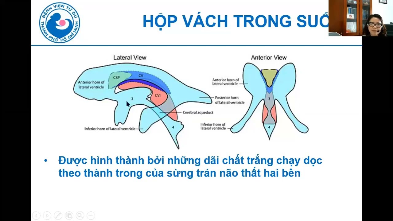 07 Siêu âm bất thường hệ thần kinh thai nhi - ThS.BS. Hà Tố Nguyên