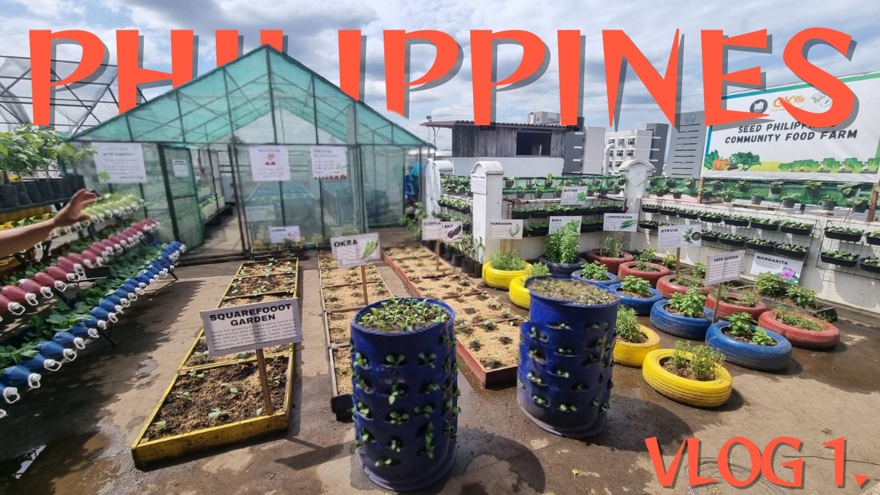 1ère semaine aux Philippines !
