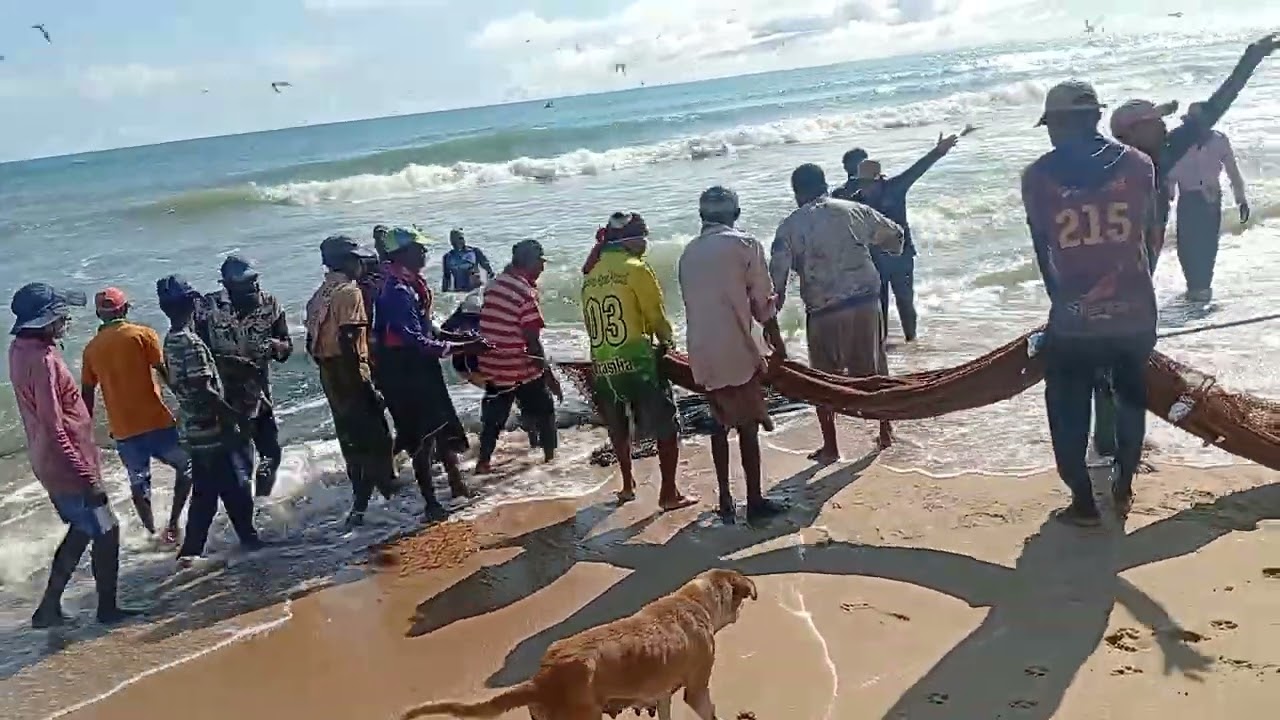 මාදැලකට අහුවුන මාලු පාඩුව SUBSCRIBE බටන් එකත් ඔබාගේන යන් යලුවනේ