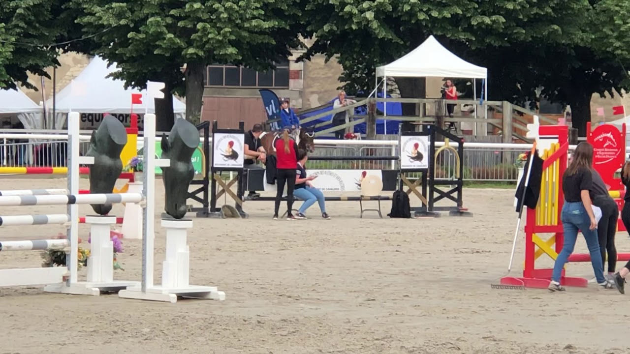 Magique Soso apprend aux chevaux comment ça se passe pour gagner 💪😂