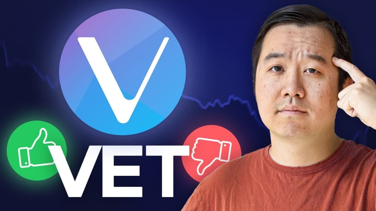 Is Vechain&rsquo;s $VET Worth The HYPE? (Pros & Cons)
