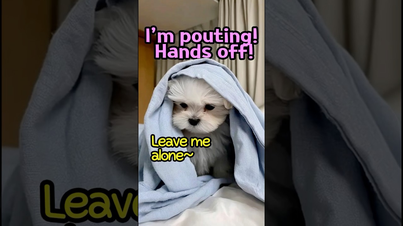 I&rsquo;m pouting! Hands off!