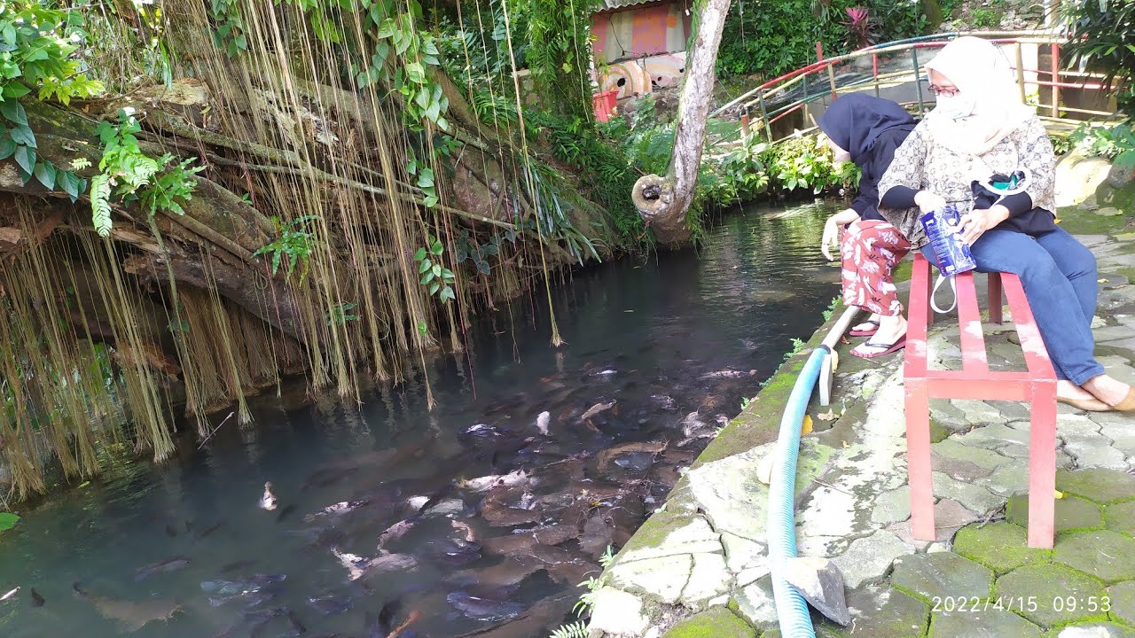 Tempat Wisata Taman Lele #tamanlele #wisatajateng  @ceritaaleya