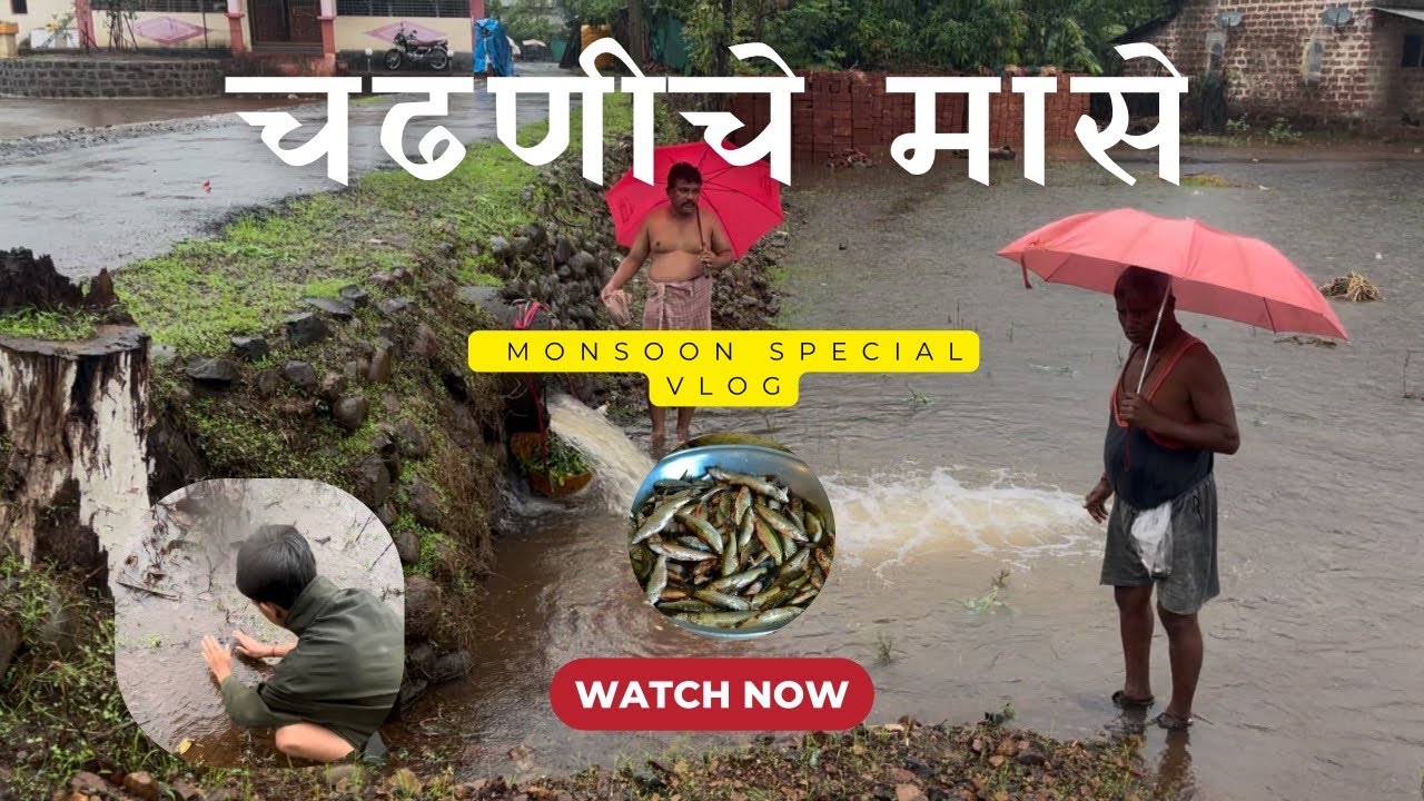 Monsoon Special | कोकणातल्या चढणीचे मासे | Raw Village Fish Hunting Vlog | chiplun | 2025